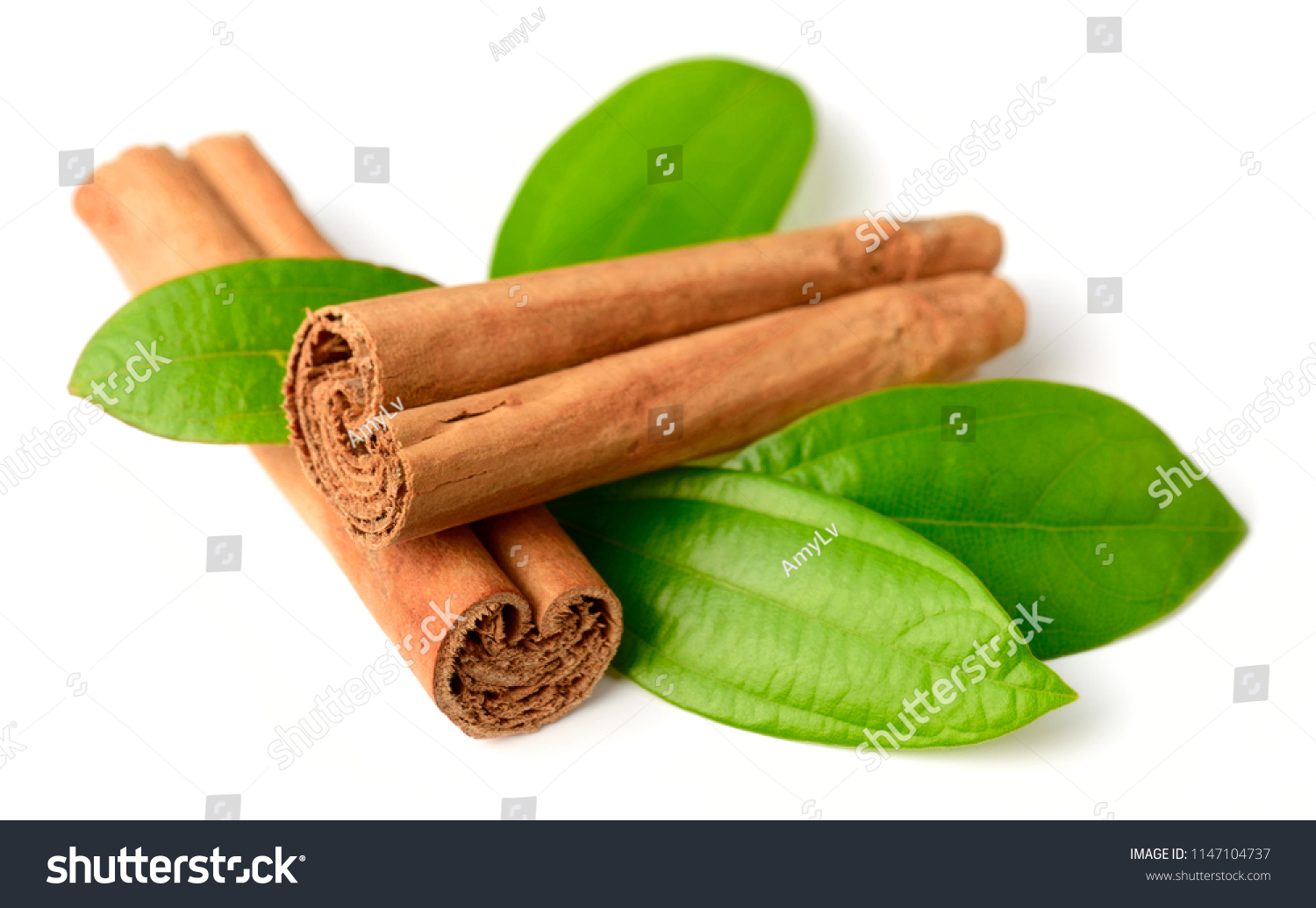 Ceylon cinnamon sticks and fresh cinnamon leaves isolated on white #1147104737