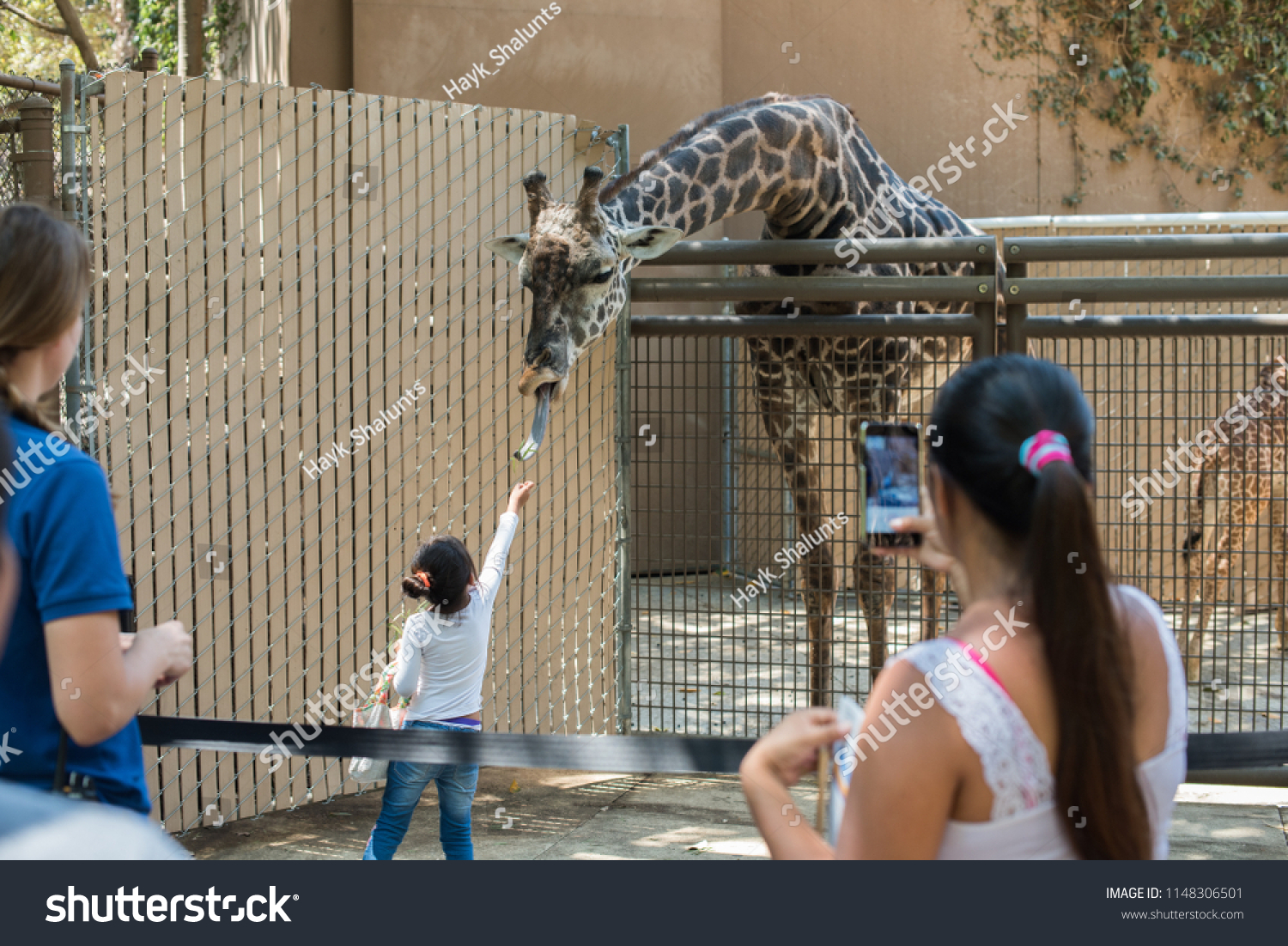 Los Angeles, California, USA -August 01, 2018: Unidentified visitors feeding giraffe at the Los Angeles Zoo and Botanical Gardens which is a 133-acre zoo founded in 1966  in Los Angeles, California. #1148306501