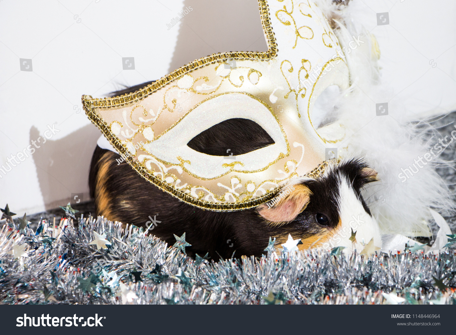 little funny guinea pig with gold venetian mask #1148446964
