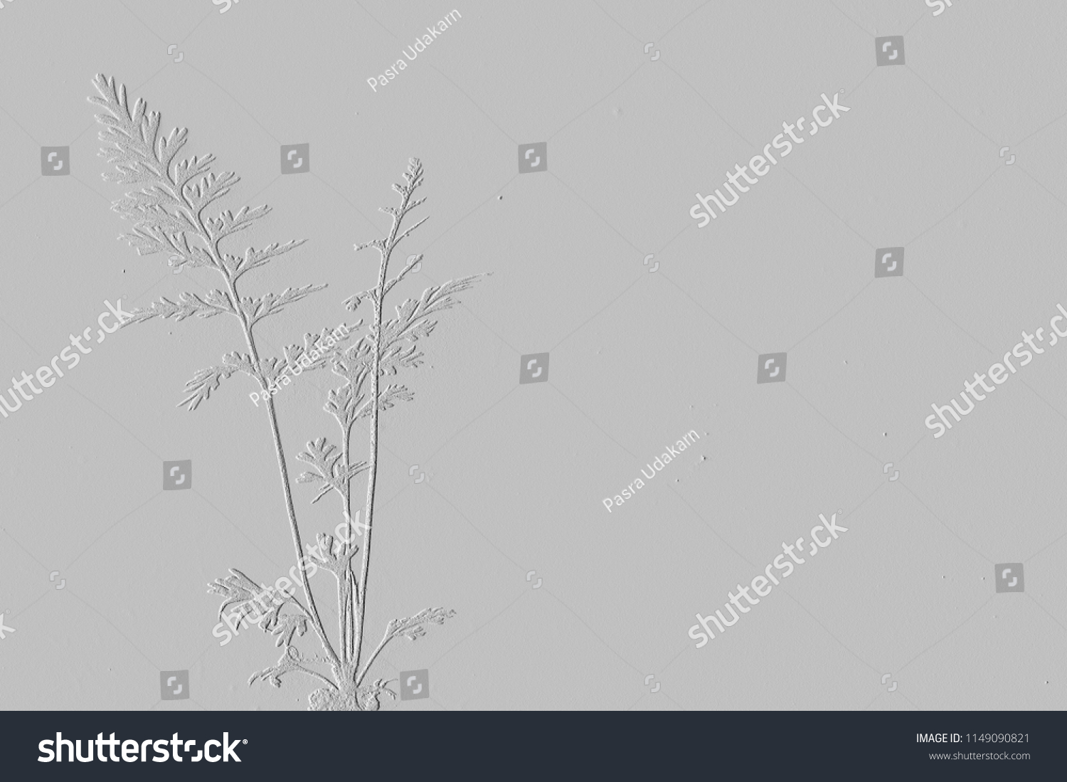 Textures of embossed leaves on background grey #1149090821