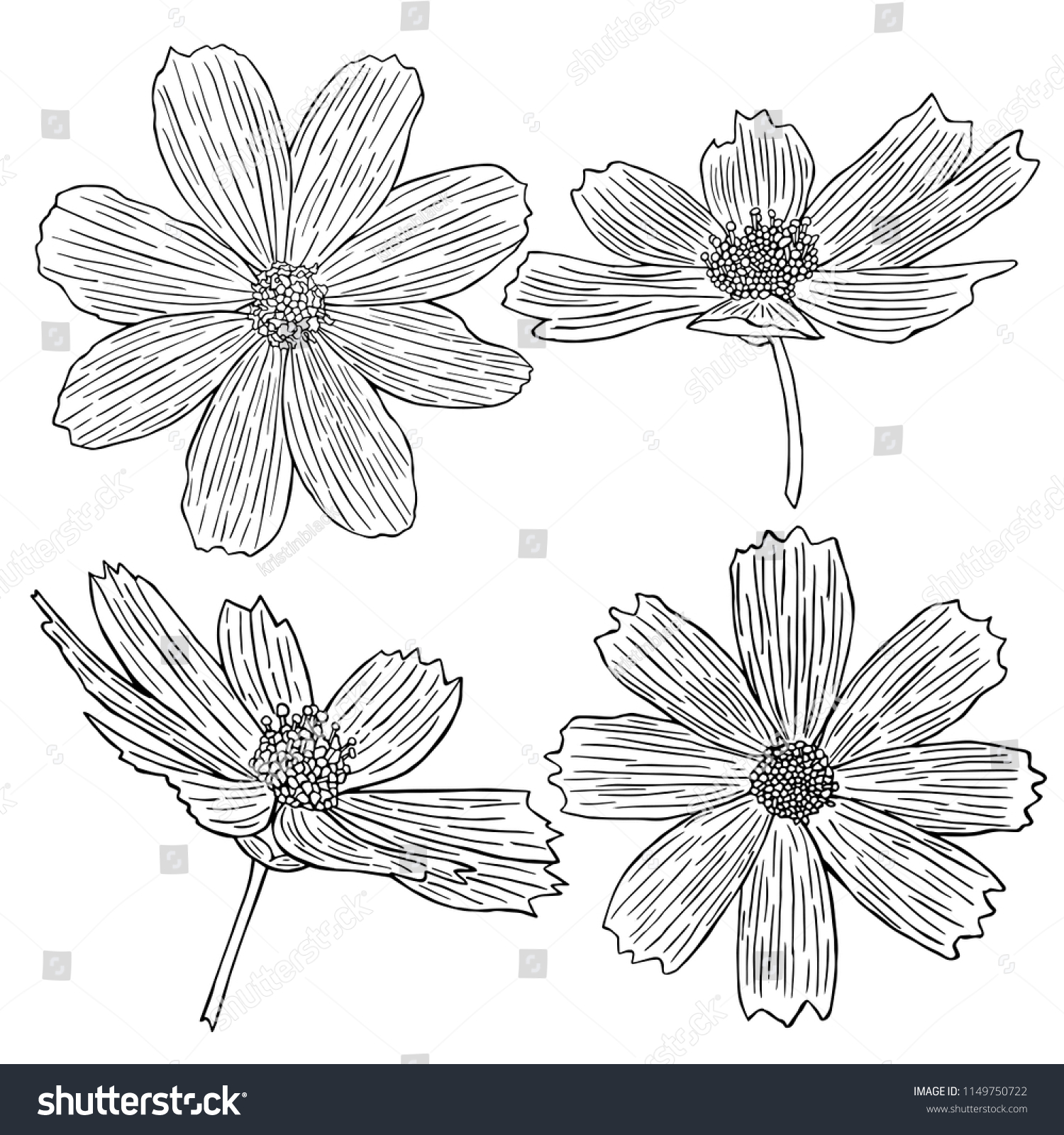 decorative flower icon collection, hand-drawing vector illustration sketch #1149750722