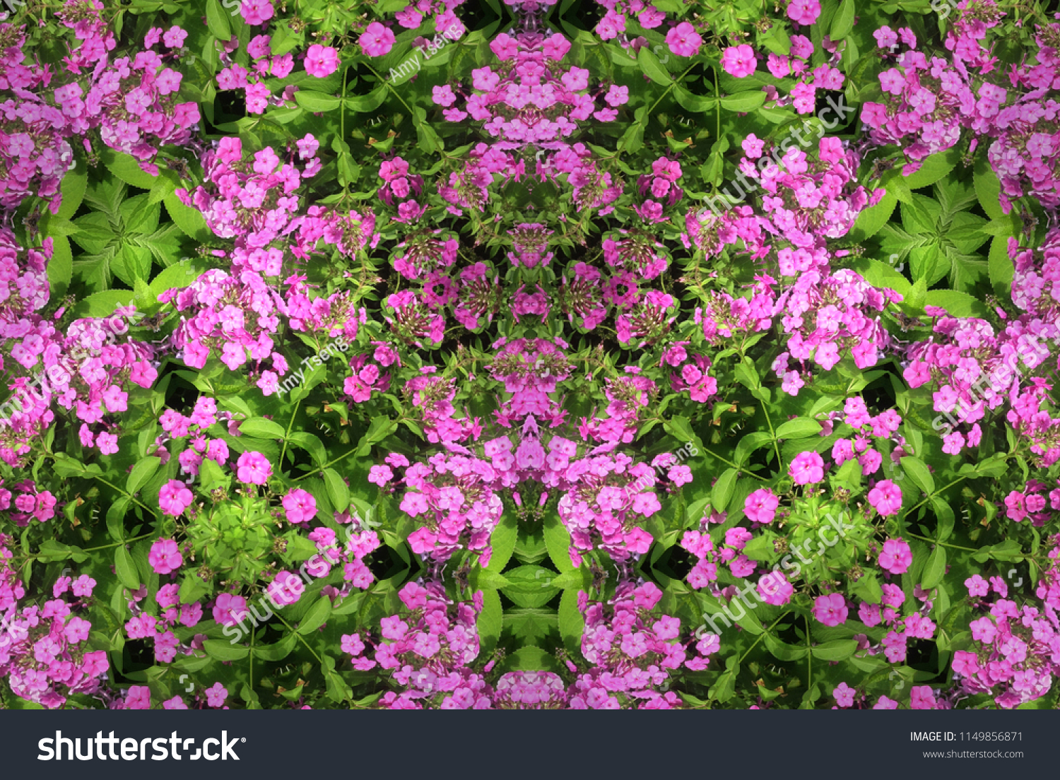 Floral Design of Pink Hydrangea 
 #1149856871