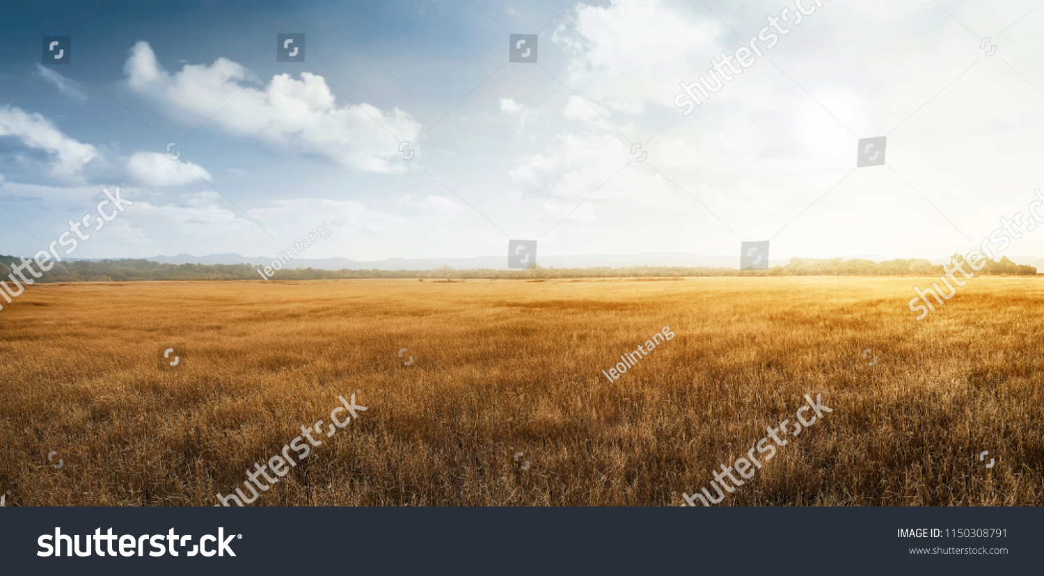 Landscape view of dry savanna with blue sky background #1150308791