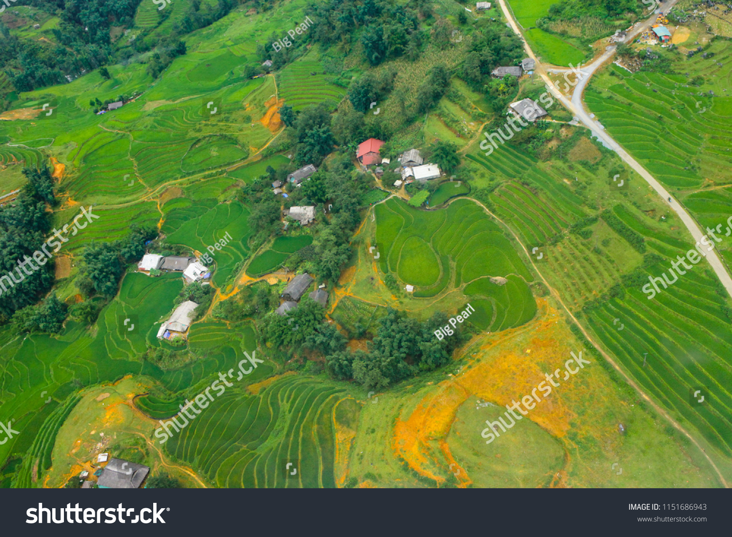 Terraced rice fields in harvest season, Muong Hoa Valley, Sappa, Northern Vietnam #1151686943