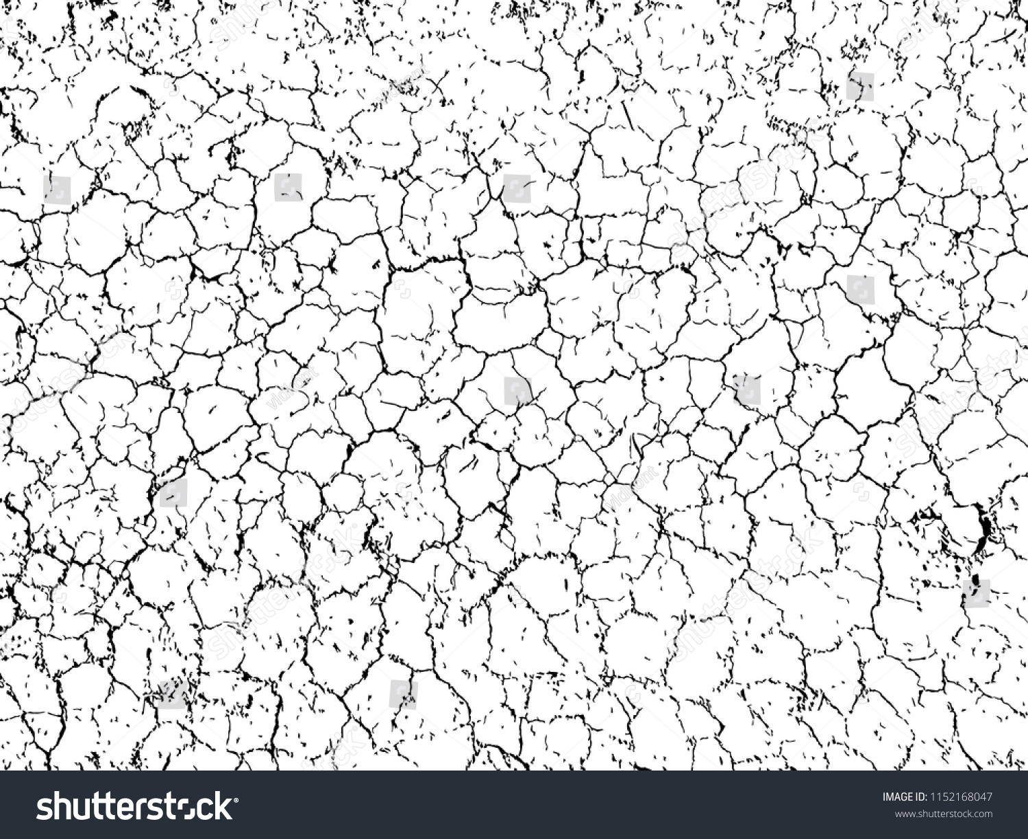 The cracks texture white and black. Vector background.Cracked earth. Structure of cracking. Cracks in dry surface soil texture. #1152168047