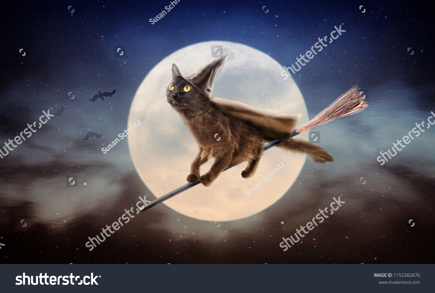 Cute black cat dressed as Halloween witch flying on broom in night sky in front of full moon #1152382676