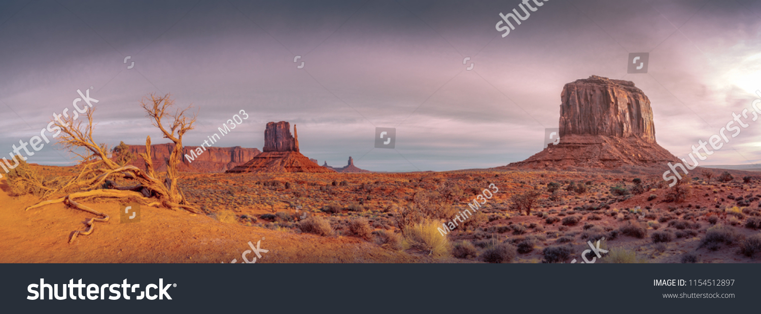 Monument valley vintage landscape view with dry tree and dramatic sky, Arizona, USA #1154512897