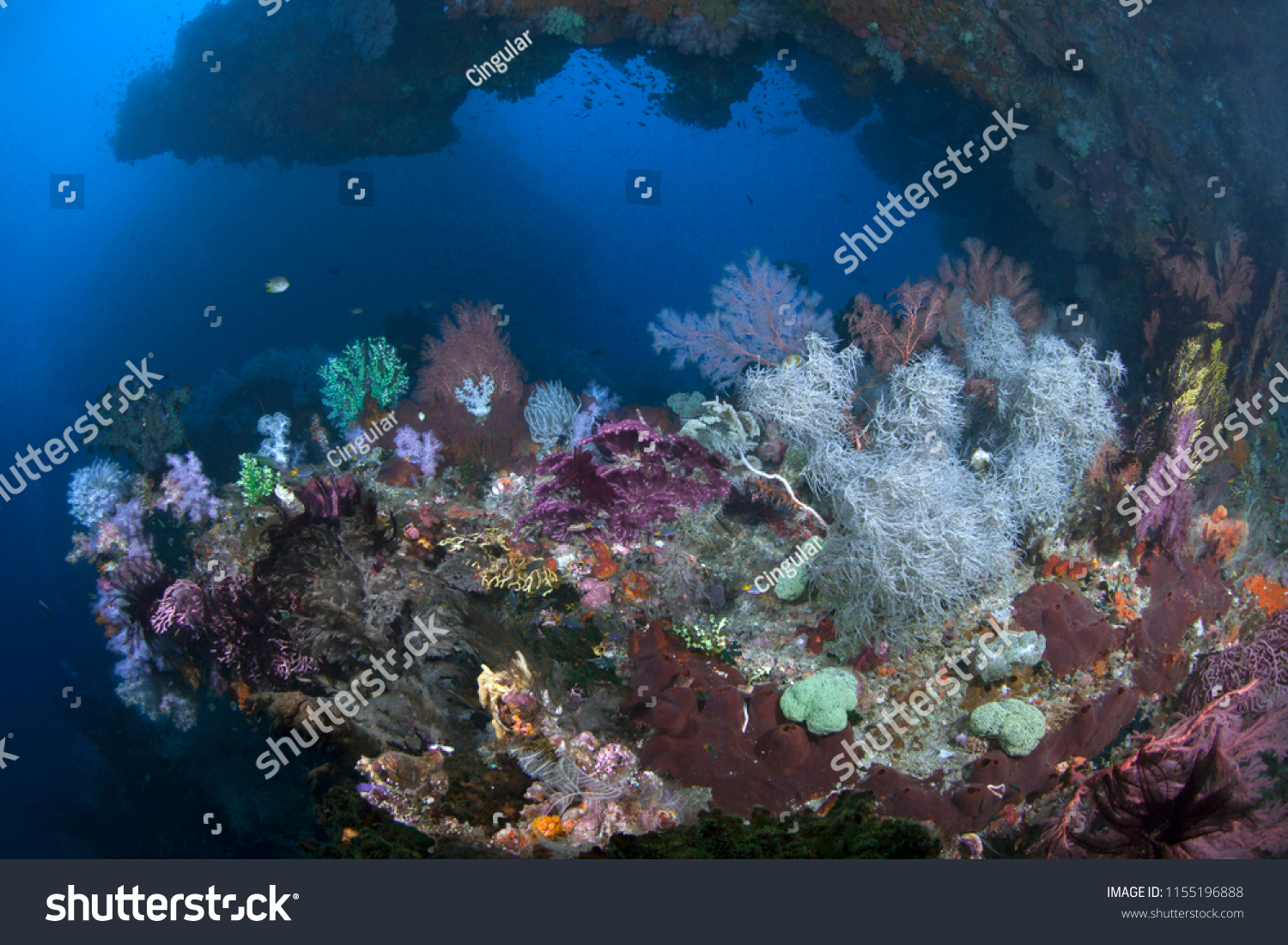 Vibrant coral reef on the ledge of a deep undersea wall. Raja Ampat, Indonesia.  #1155196888