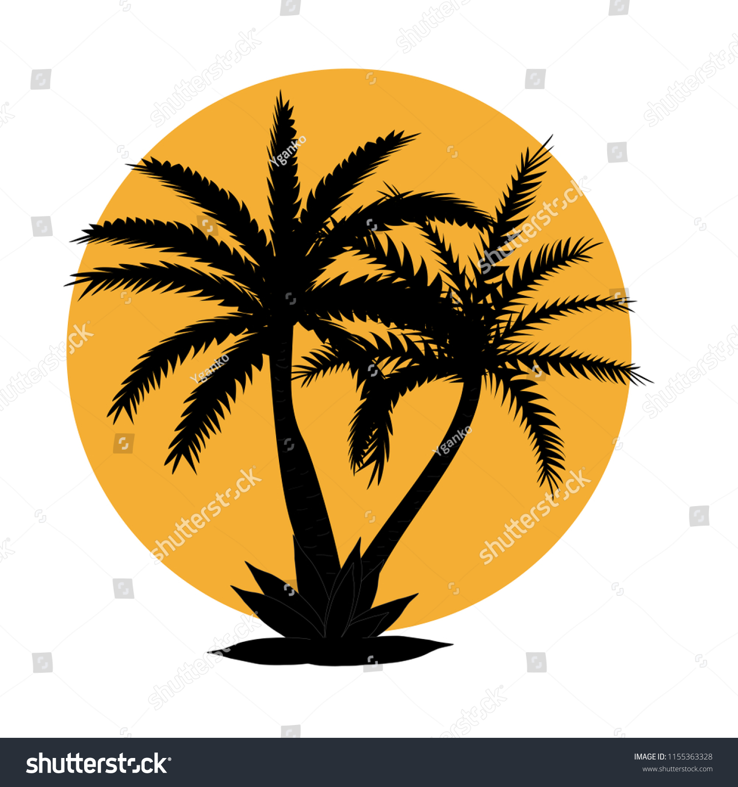 Beautiful Black and White Palm Tree Leaf - Royalty Free Stock Photo ...