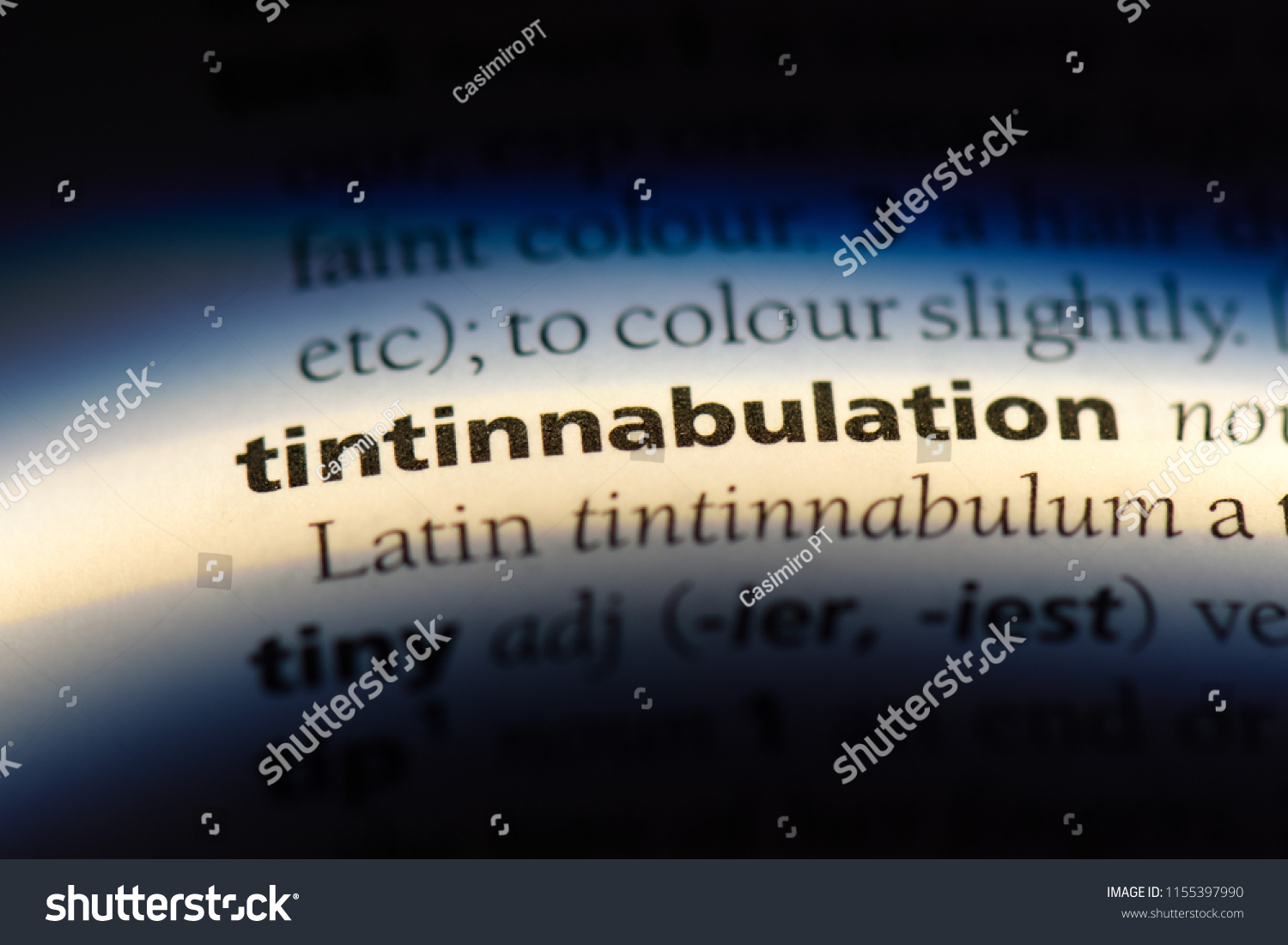 tintinnabulation word in a dictionary. tintinnabulation concept. #1155397990