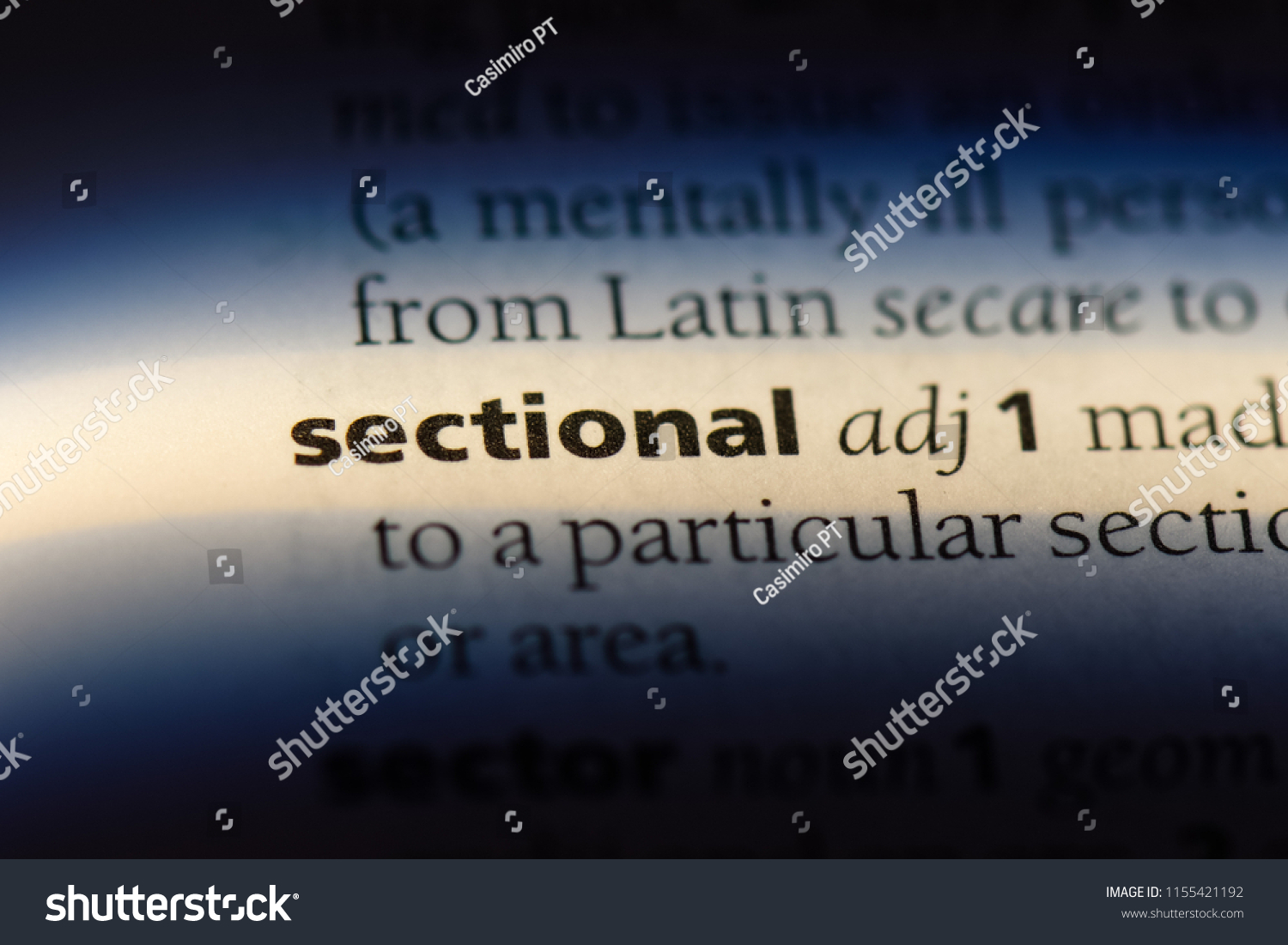 sectional word in a dictionary. sectional concept. #1155421192