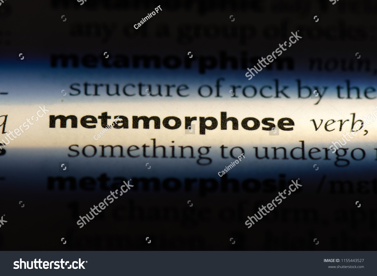 metamorphose word in a dictionary. metamorphose concept. #1155443527