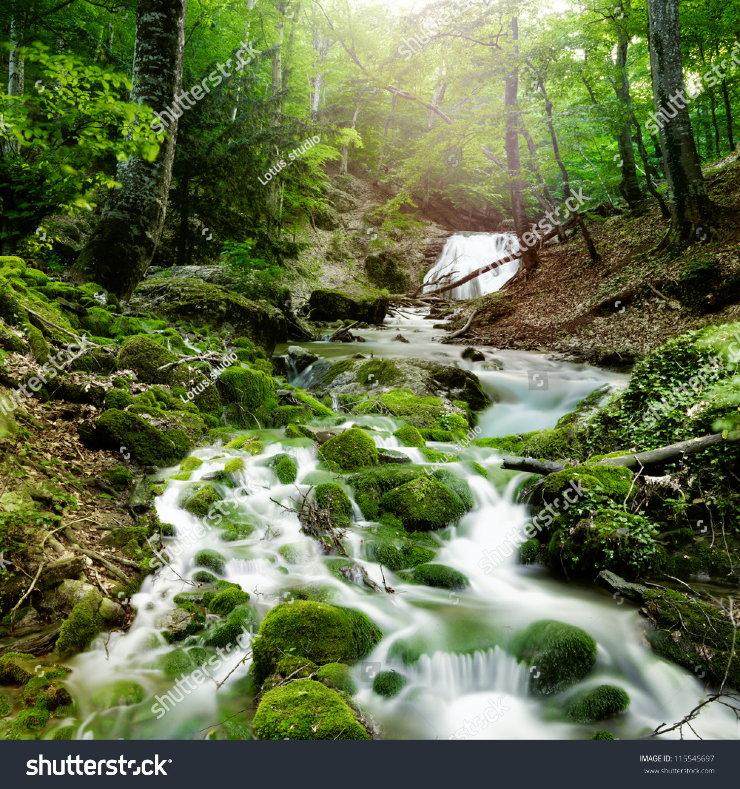 forest waterfall and rocks covered with moss #115545697