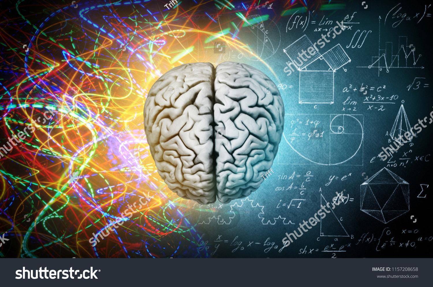 The concept of the human brain. The right creative hemisphere versus the left logical hemisphere. Education, science and medical abstract background. #1157208658