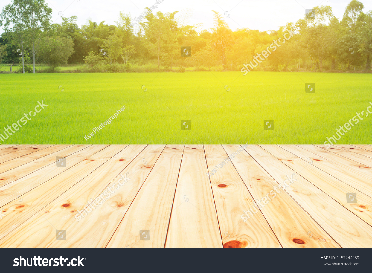 wooden floor on green rice field background with sunrise #1157244259