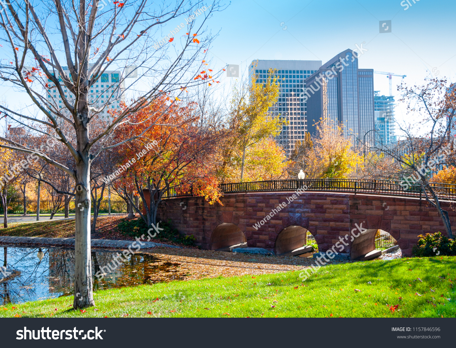 Garden in city, Salt Lake City, Utah, U.S.A. #1157846596