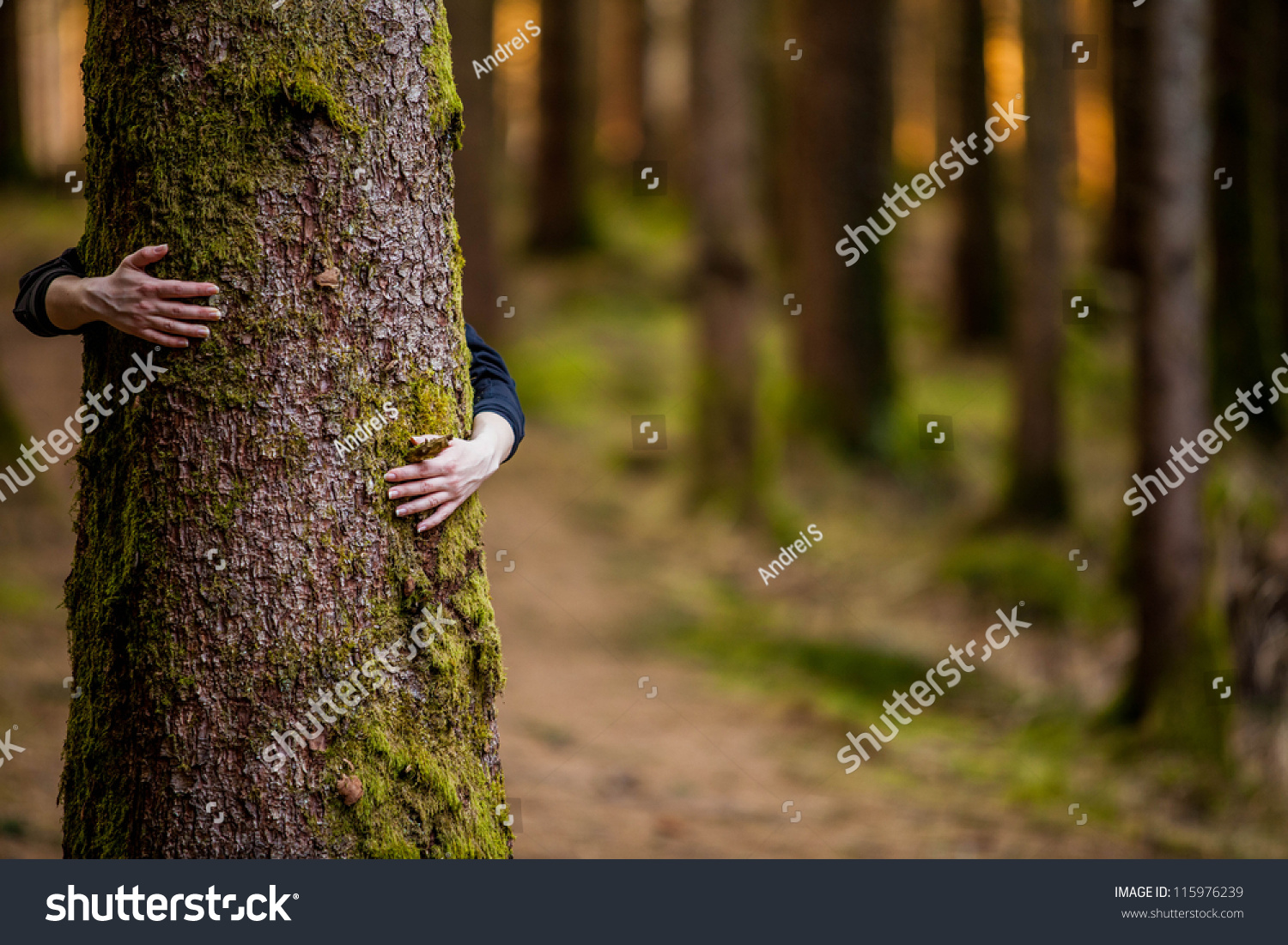 hugging a tree #115976239