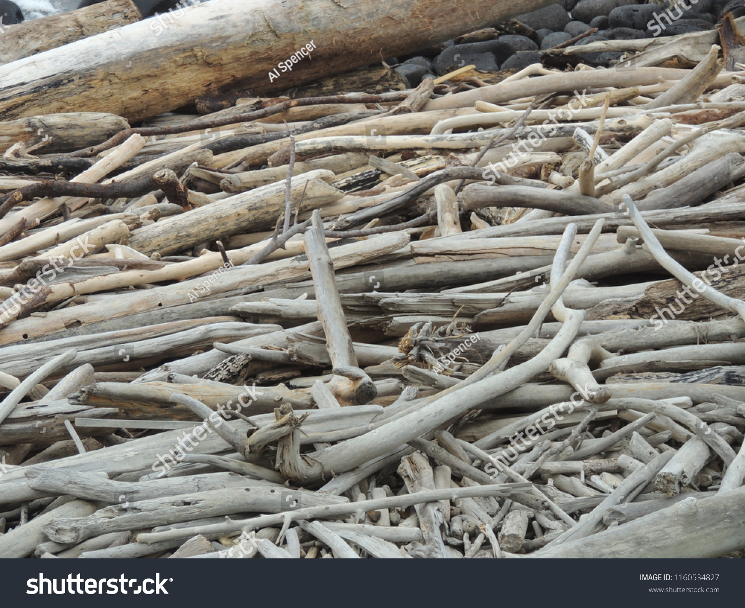 Driftwood unlimited on Kauai #1160534827
