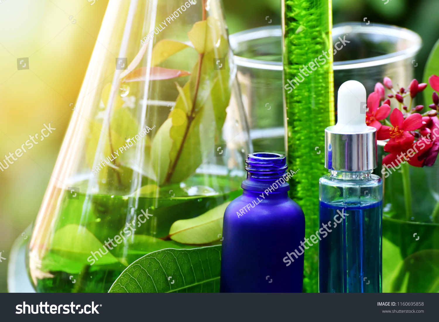 Drug research, Natural organic botany and scientific glassware, Alternative green herb medicine, Natural skin care beauty products, Research and development concept. #1160695858
