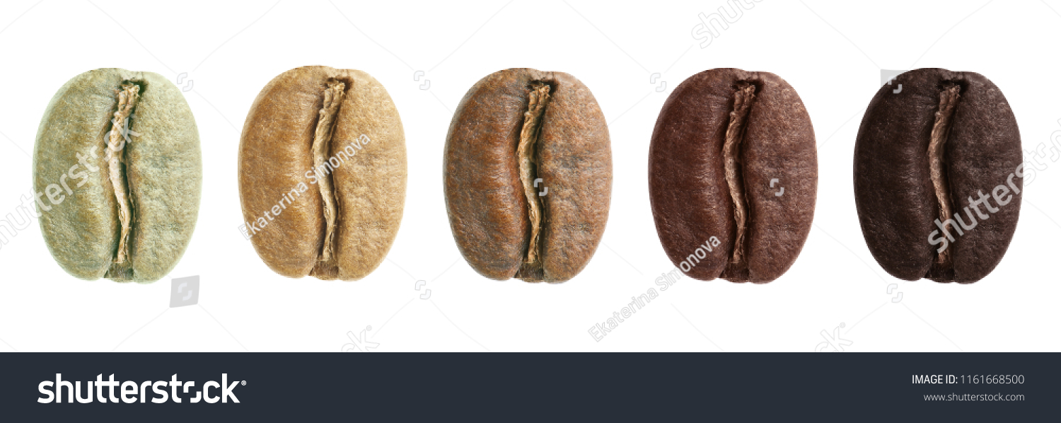 A collage of coffee beans showing various stages of roasting from green beans through to italian roast #1161668500