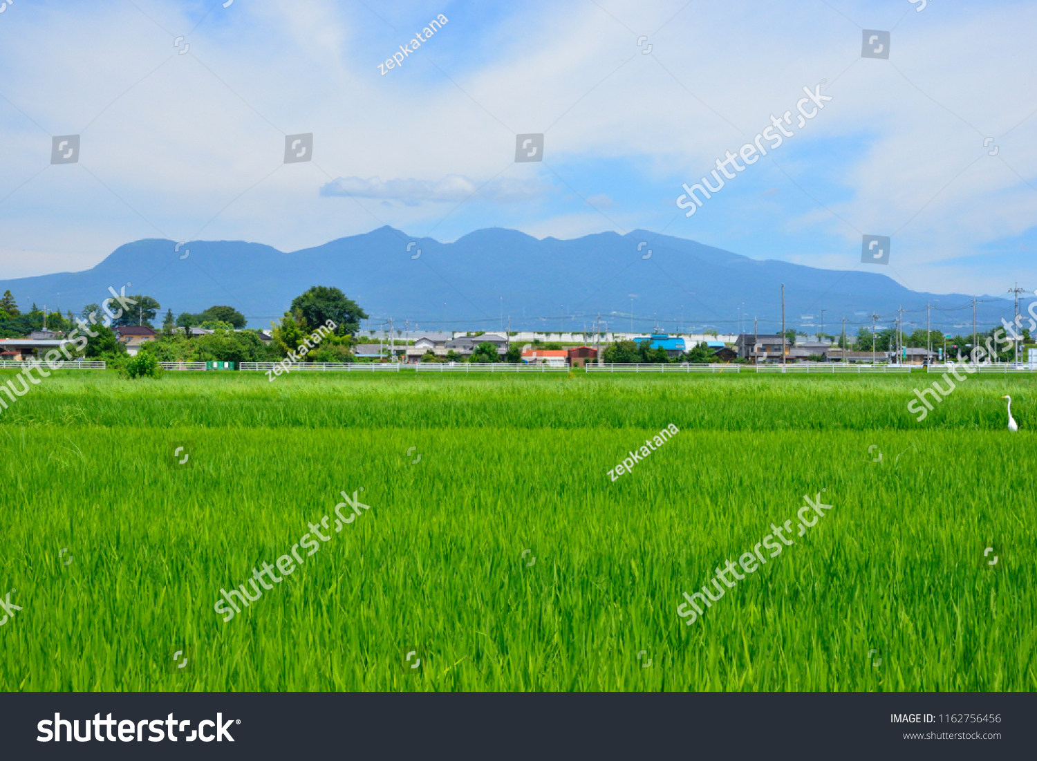 View of Mt.Akagi #1162756456