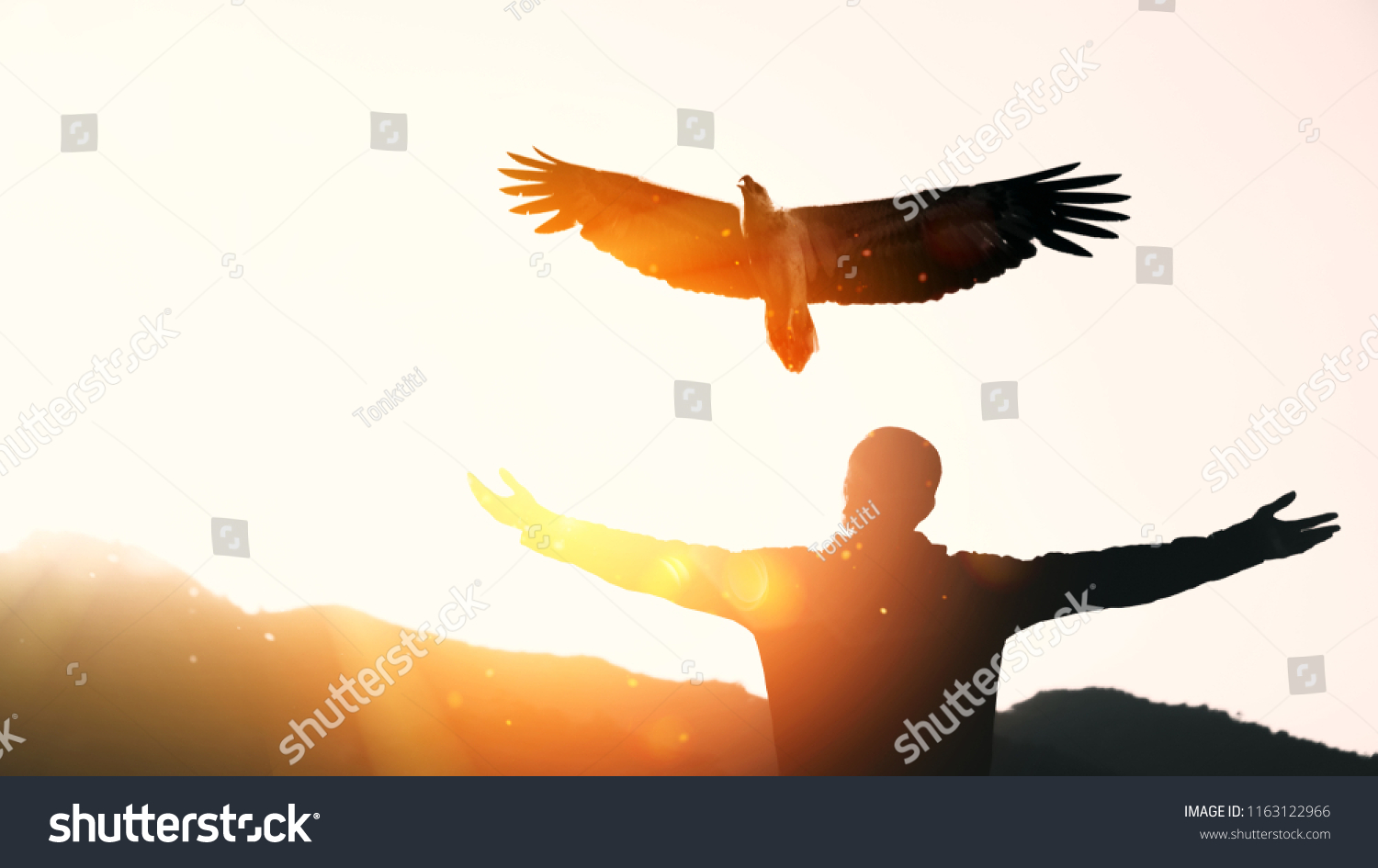 Man raise hand up on top of mountain and sunset sky with eagle bird fly abstract background. Copy space freedom travel adventure and business victory concept. Vintage tone filter effect color style. #1163122966