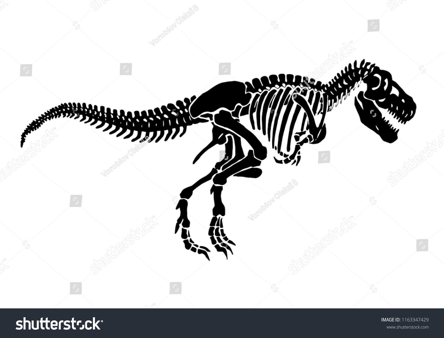 Graphical skeleton of tyrannosaurus isolated on - Royalty Free Stock ...