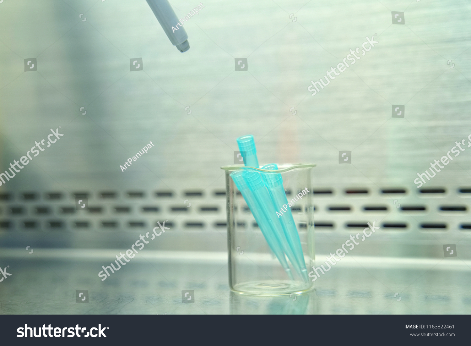 The researcher using pipette and splitting pipette tip from pipette in the lab test. #1163822461