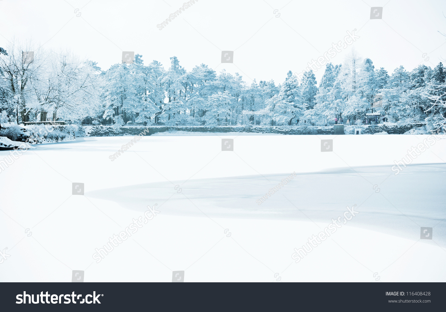 Winter, snow scene,Frozen lake, Famous scenic area, the Mount Lu of China #116408428