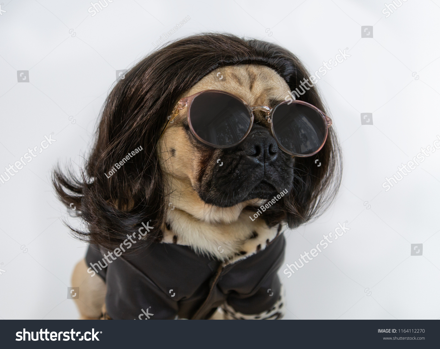 Cute funny pug wearing sunglasses, a brown haired wig and leather jacket #1164112270