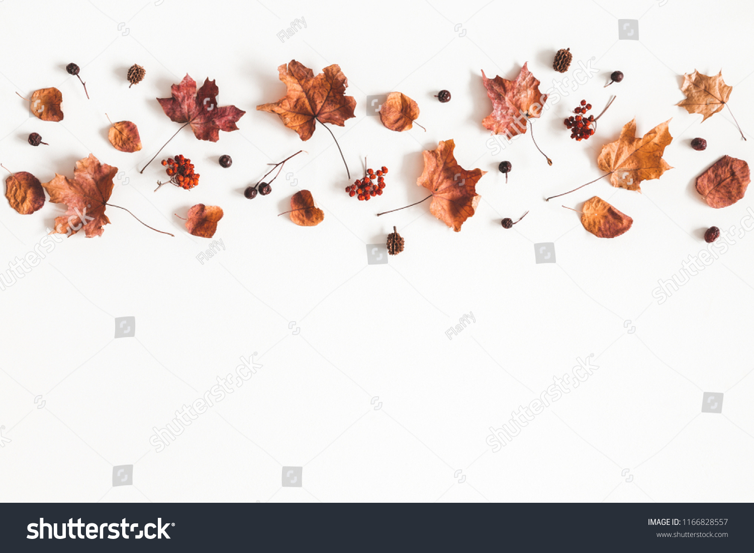 Autumn composition. Pattern made of dried leaves on white background. Autumn, fall concept. Flat lay, top view, copy space #1166828557
