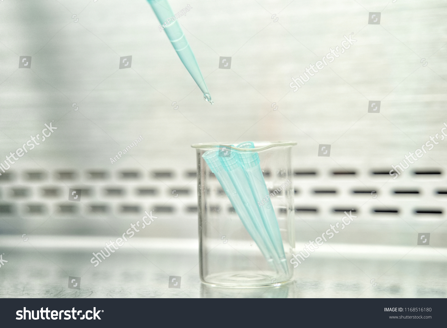 The researcher using pipette and splitting pipette tip from pipette in the lab test. #1168516180