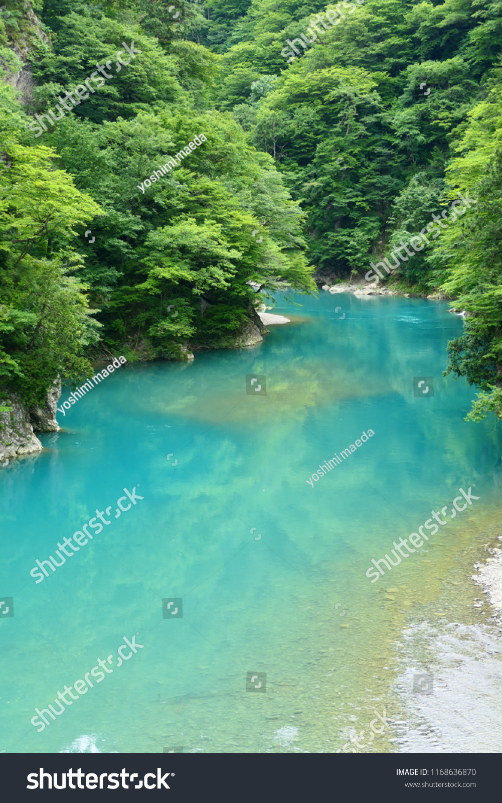 Mountain stream.This place is Dakigaeri gorge.Tazawa Senboku Akita Japan.The middle of July. #1168636870