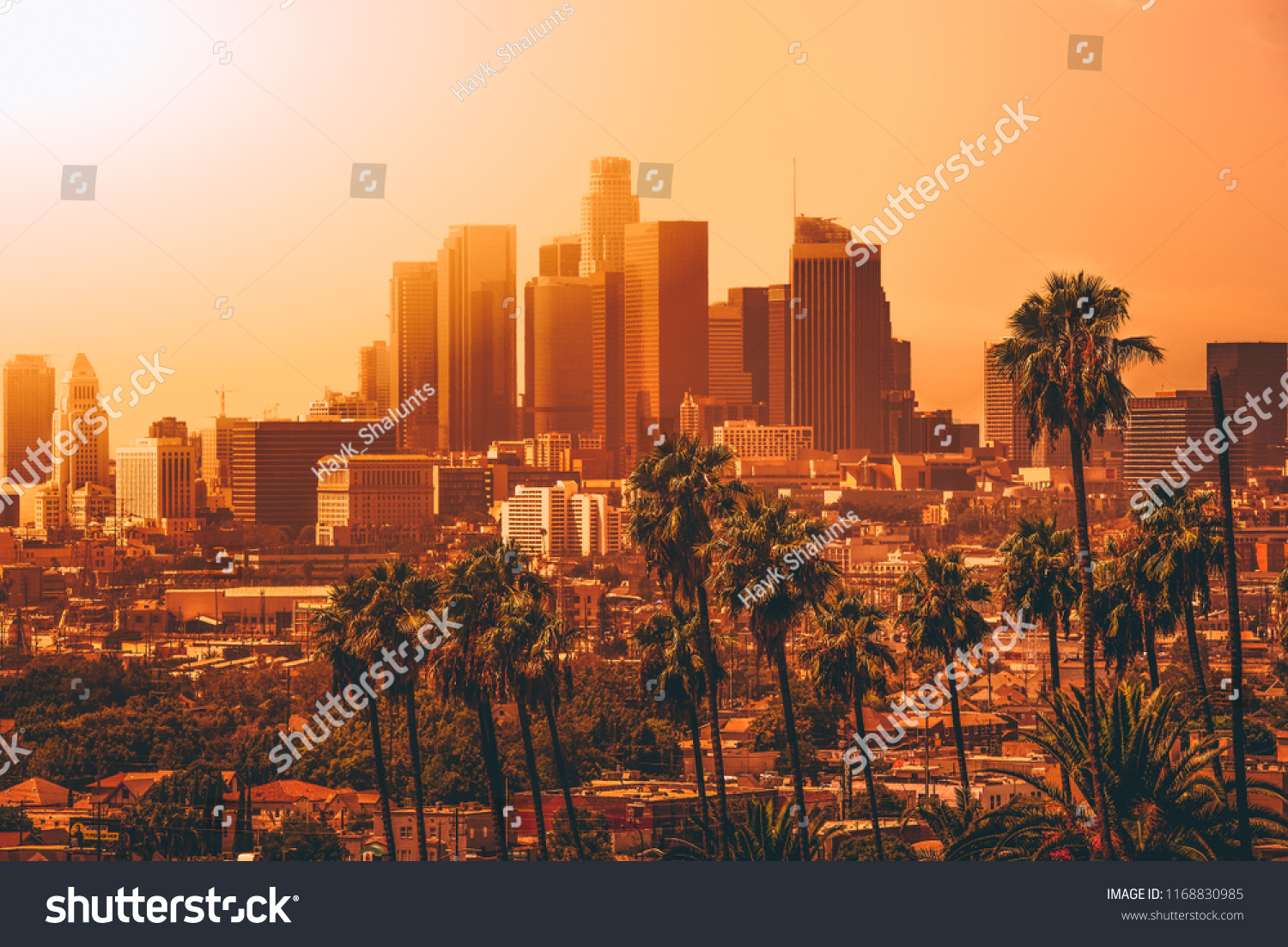 Aerial view of Downtown Los Angeles #1168830985