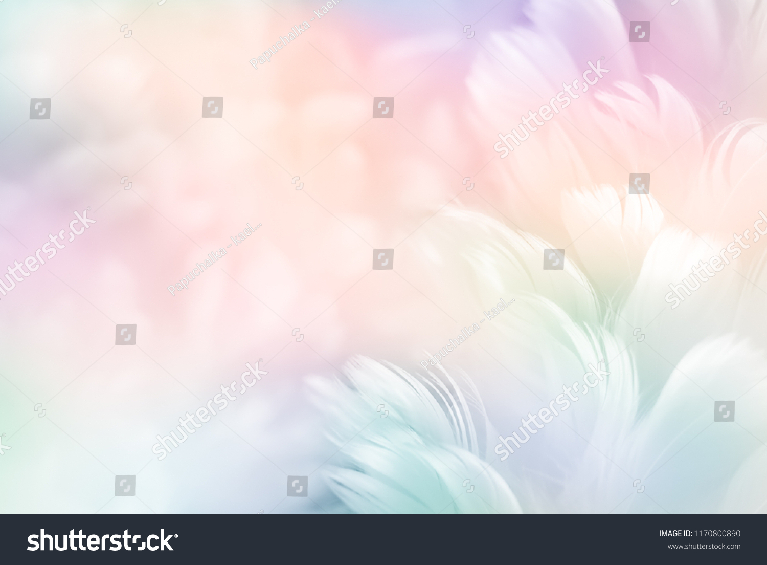 Abstract feather rainbow patchwork background. Closeup image of white fluffy feather under colorful pastel neon foggy mist. Fashion Color Trends Spring Summer 2019 - soft focus. #1170800890