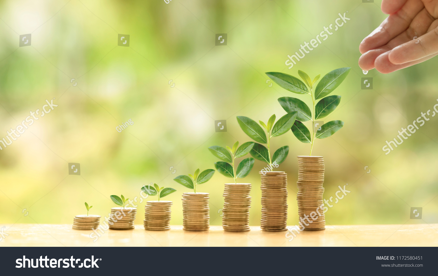 Concept of investment like a growing plant. A hand of investor give water for investing fund. It is collect coin and golden bokeh background. It is wallpaper or backdrop for investment and cumulative #1172580451