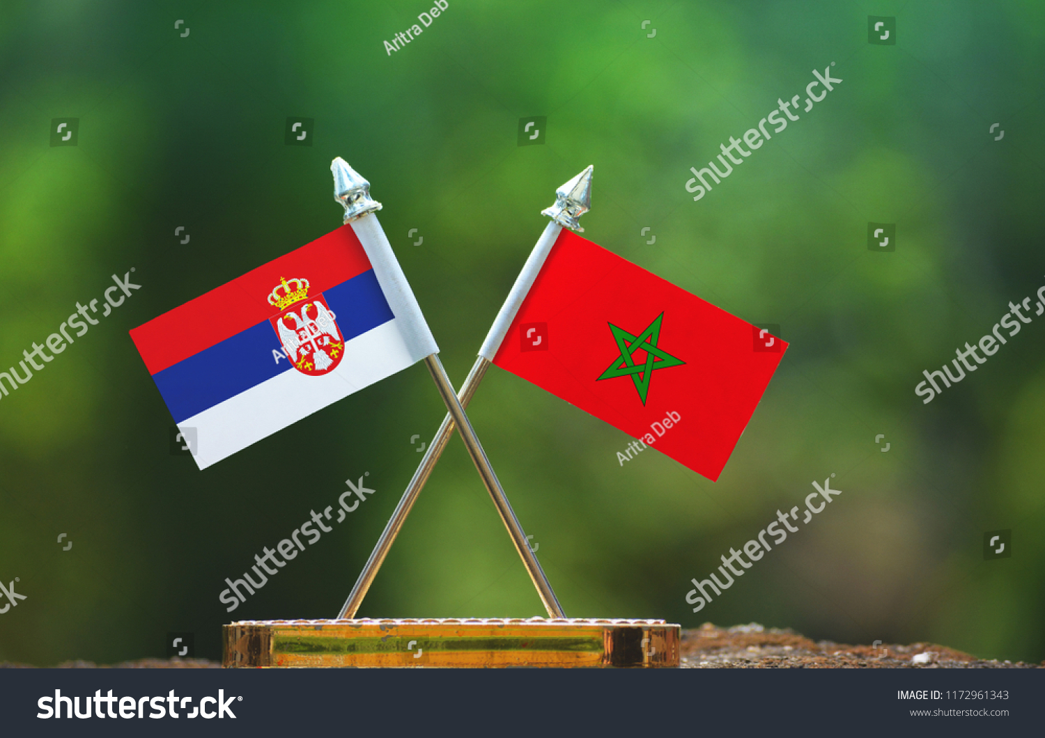 Morocco and Serbia small flag with blur green background #1172961343
