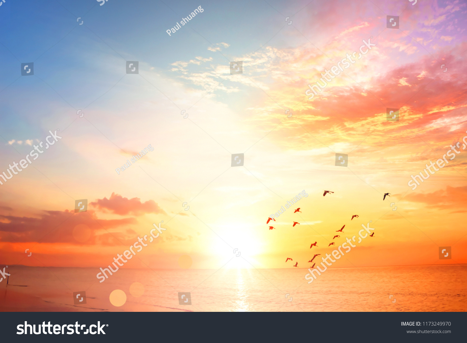 World Environment Day concept:Sunset / sunrise with clouds #1173249970