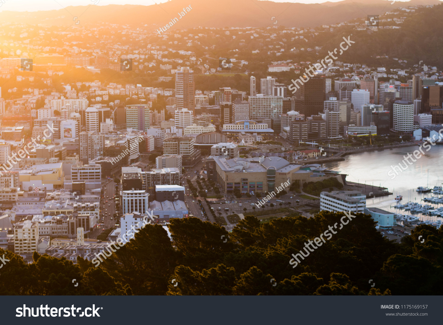Wellington Central Business District #1175169157