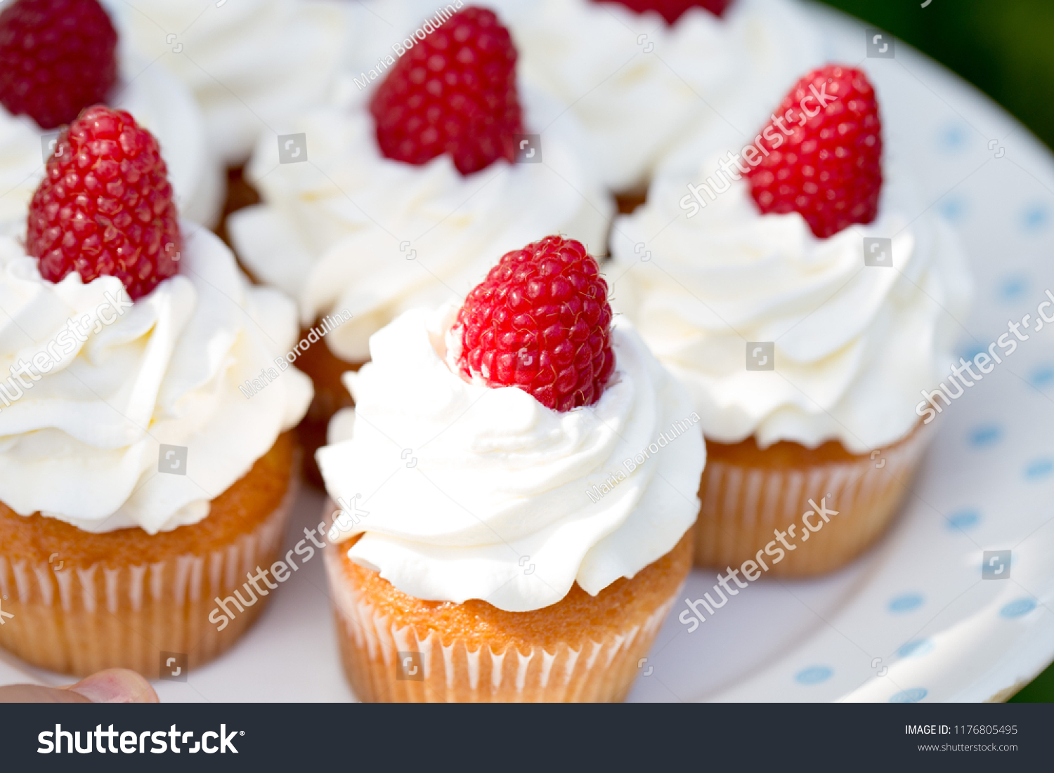 home made delicious cupcakes with creamchees and raspberries on top / family life concept #1176805495