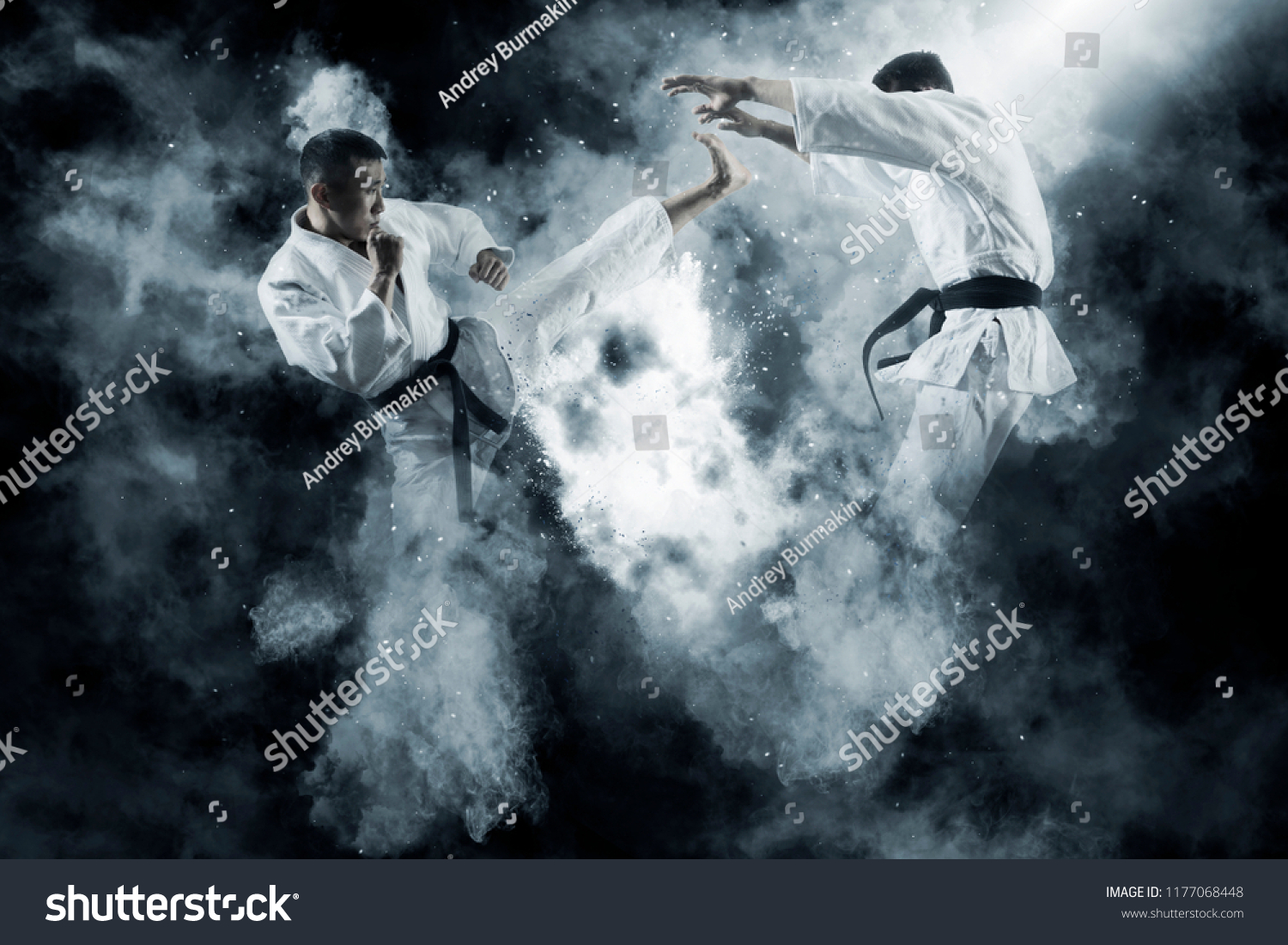 Martial arts masters, karate practice. Two male karate fighting  #1177068448