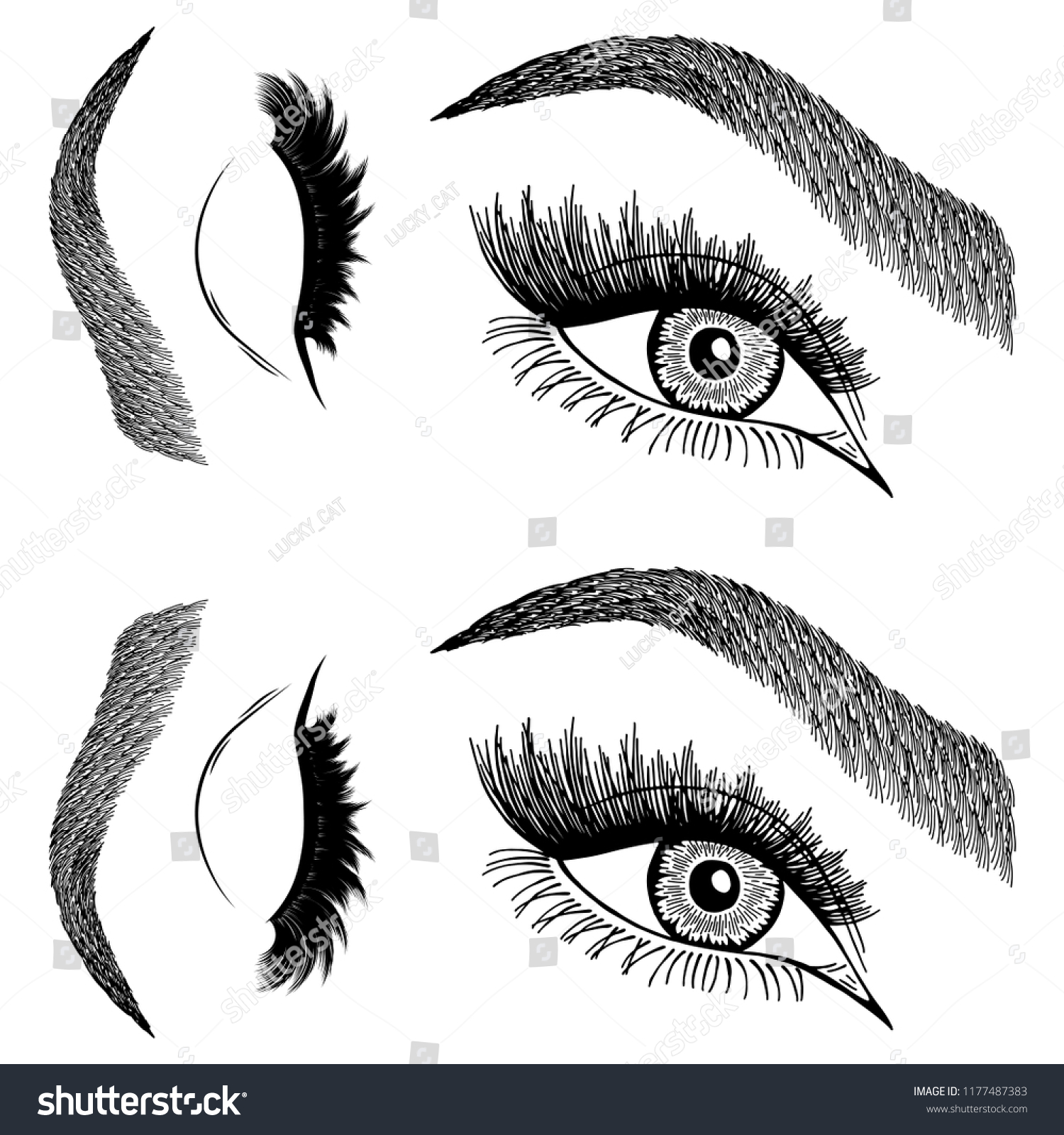 Illustration With Womans Eyes Eyelashes And Royalty Free Stock Vector 1177487383 1939