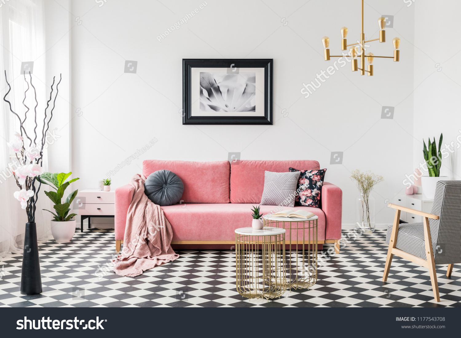 Poster above pink sofa in spacious living room interior with patterned armchair and plants. Real photo #1177543708