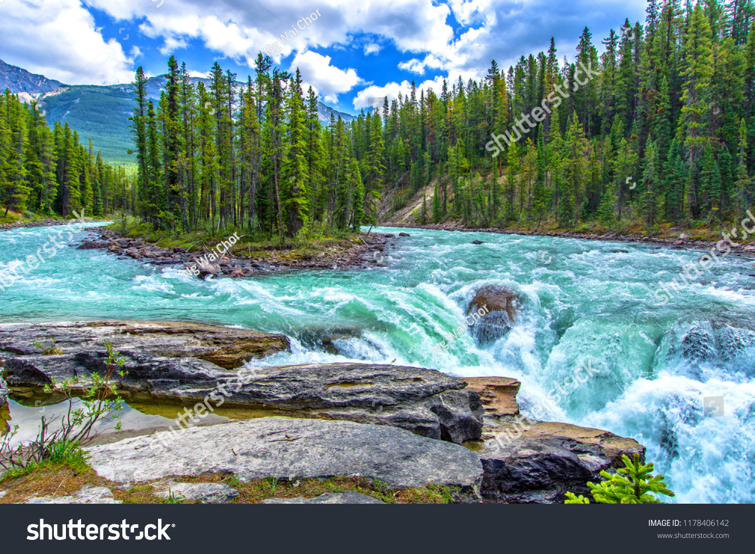 Sunwapta Falls, Jasper, Canada #1178406142
