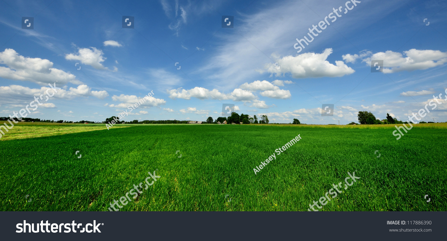 classic rural landscape. Green field against blue sky #117886390
