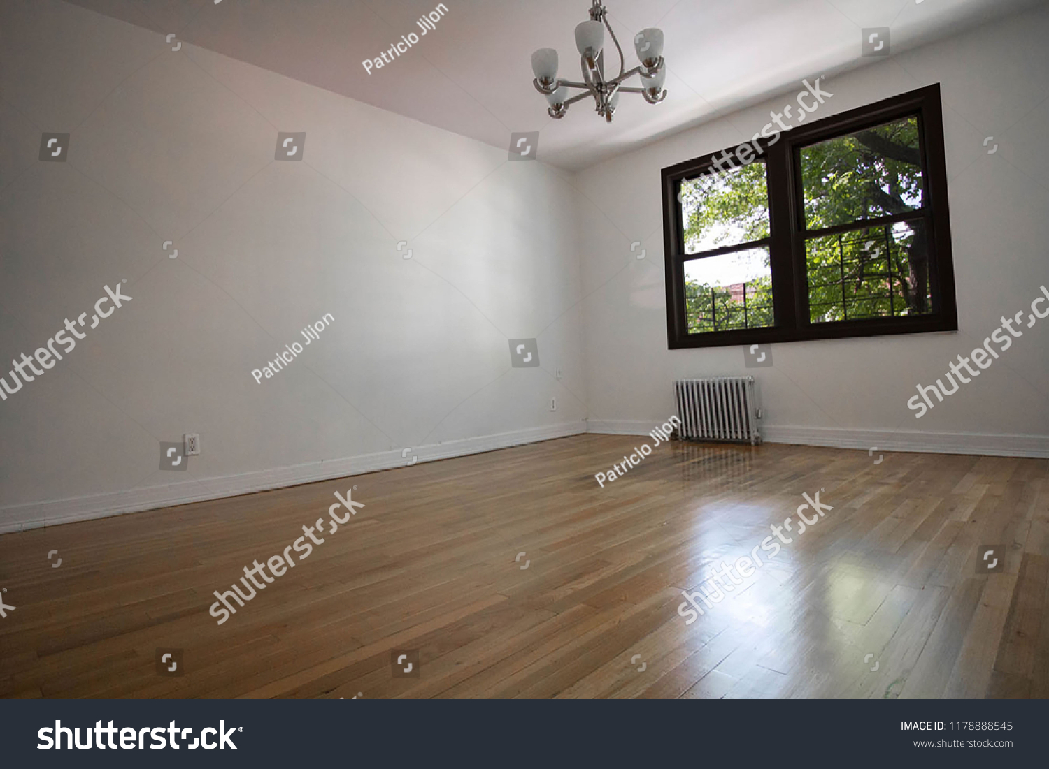 Empty Room Brooklyn #1178888545