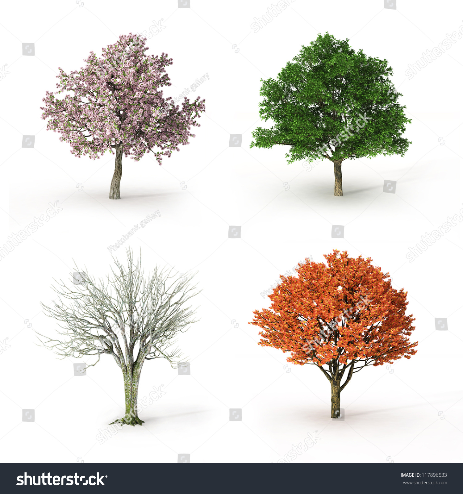 tree at four seasons #117896533