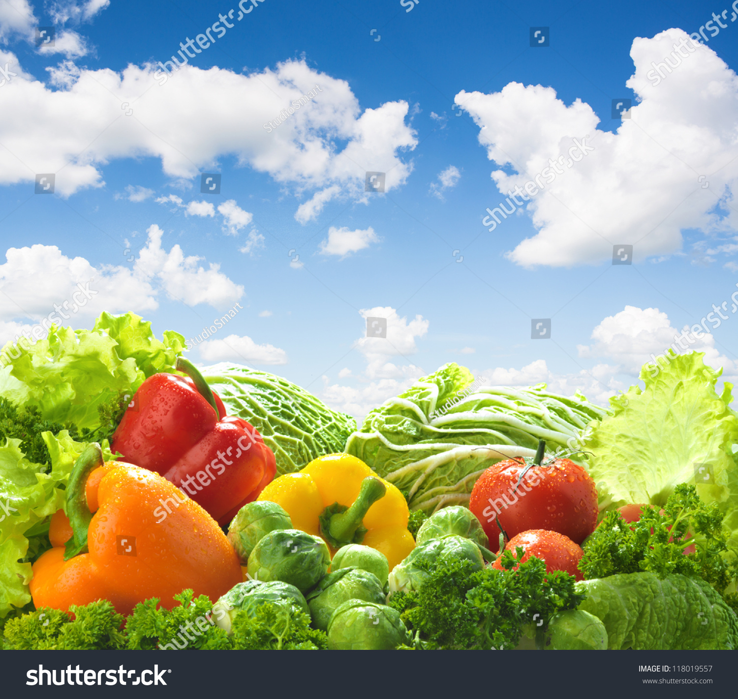 Healthy food landscape against blue sky. Mixed vegetables. #118019557