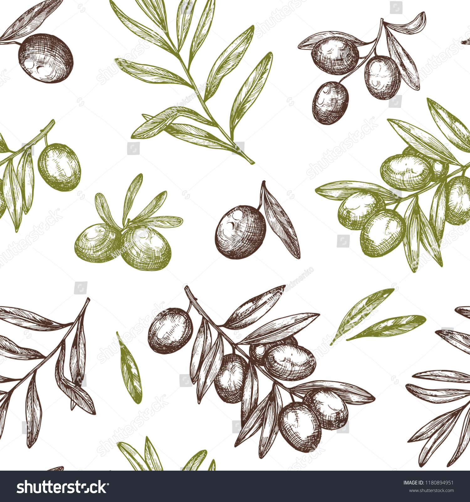 Hand drawn vector seamless pattern with ink olive tree twigs. Vector olive background. Retro decorative texture background for textile,paper,labels and etc. #1180894951
