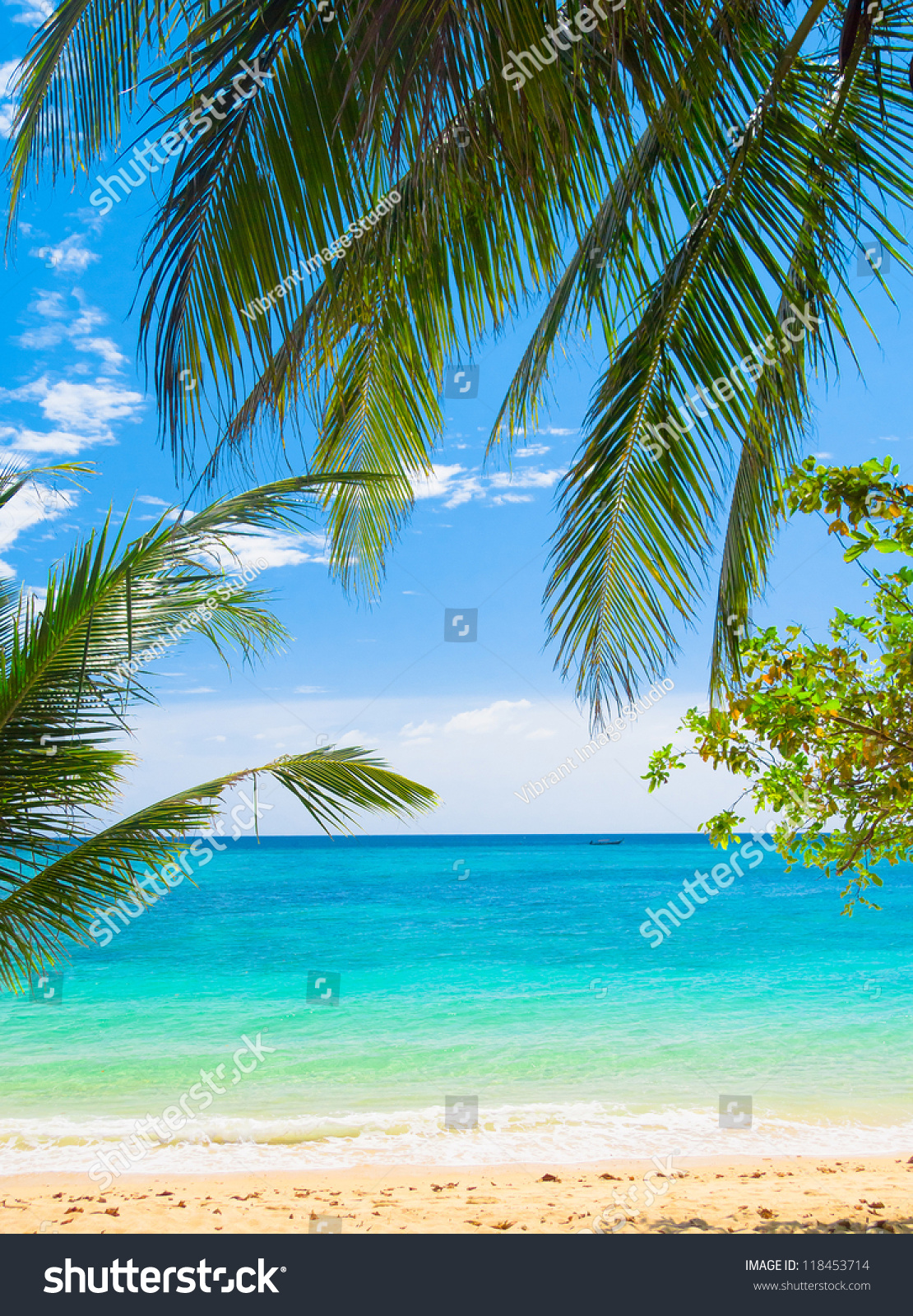 Under Trees Coconut Getaway #118453714